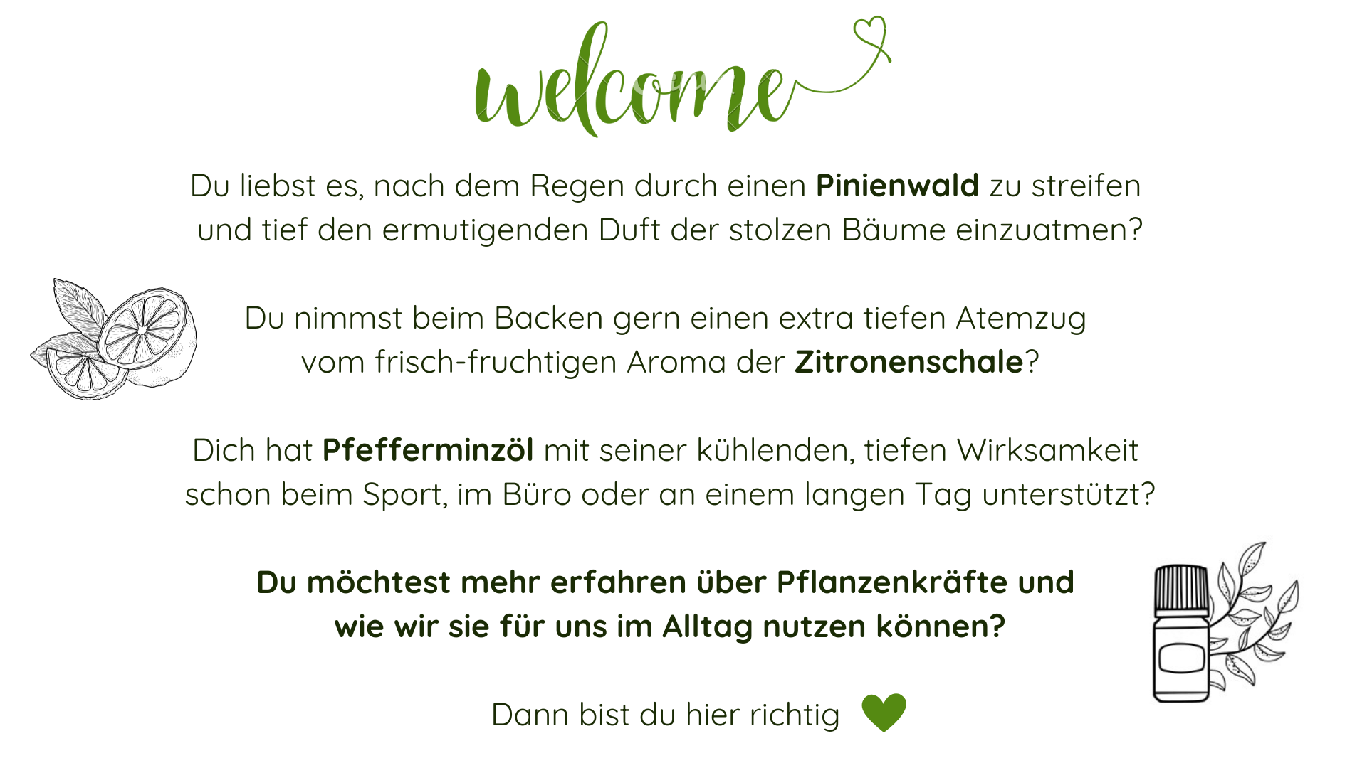 grafik welcome 01